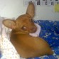 una pekeña pose